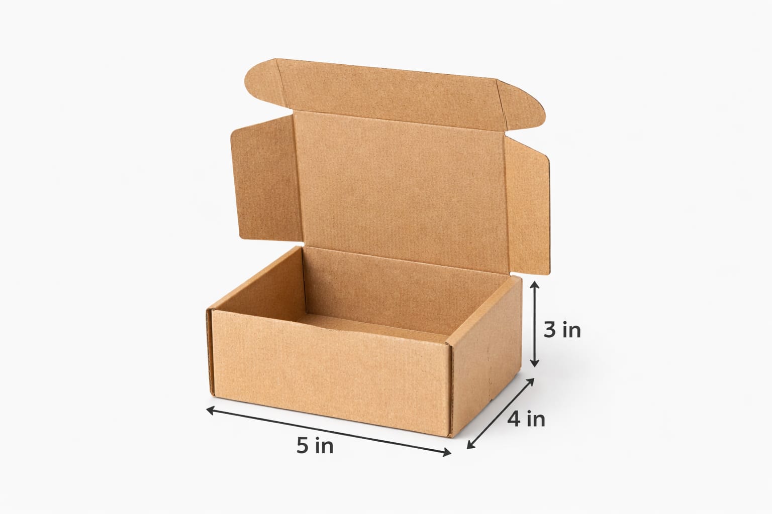 WhatsApp Image 2026-01-28 at 7.46.10 PM (2)